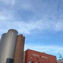 독일인학교 | KU Leuven OT 후기...와 일상