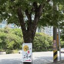 달빛에 구운 고등어 분평점