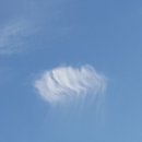 감성가득 수채 캘리그라피 이미지