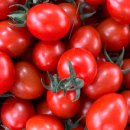 현대농장 이미지