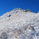 ＜등산정보＞ 100명산 ＜17＞ ●무등산(無登山 1187m)＜명산을 찾아서＞ 이미지