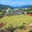 신천체육공원 테니스장 이미지