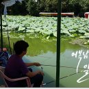 양석낚시터 이미지