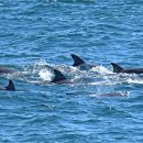 노을해안로 이미지