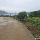 고성탑공인중개사사무소 이미지