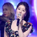 나비노래광장 이미지