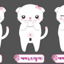 히트왁싱태닝