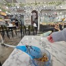 문구방구동탄 - 화성시 동탄순환대로17길 31 | 수원 방학 아이랑 갈만한 실내데이트 앵무새카페 리프패럿