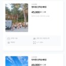 가은 해솔 캠핑장 이미지