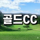 기흥관광개발(주) 골드CC | [용인 골드CC] 강남 30분대! 주중/정회원/주주회원권 혜택 및 최신 시세 총정리