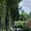 큰산농장 이미지