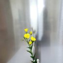 조아트 플라워 이미지