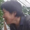 김태희농장 이미지