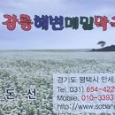 강릉해변막국수평택점 이미지