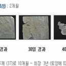 에이치에이피 이미지