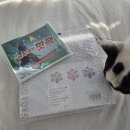 뚱땅뚱땅 | [강아지 노즈워크 추천] 분리불안 훈련 장난감 "뚱땅뚱땅 6각 퍼즐" 후기