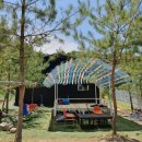 다산솔농장 이미지