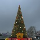 지한동물병원 | 2512