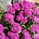 시골나들이 이미지