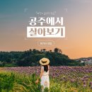 공주-36 이미지