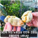 호돌이만두 | 대전역 맛집 노포감성 찐만두 전문점 호돌이만두 내돈내산