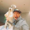 국립해양생물자원관 씨큐리움 이미지