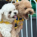 재경농장 | 25년 6월 기록