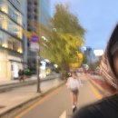 댕댕스토리 | [북촌러닝] 댕댕런૮ ･ ﻌ･ა + 뉴발 | 첫 8.8km 도전 성공기