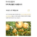 나주배유기 이미지