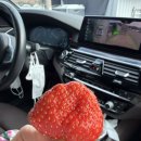 다라니농장 이미지