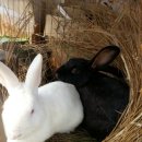 산전농장 이미지