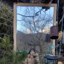 화순백아산농장 | 화순훼미리농장 인스타에서 핫한 이유