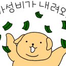 나비 호스텔 이미지
