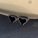 퍼피스테이 온수수영장 애견펜션 이미지