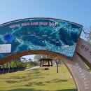 백제가요정읍사오솔길(2코스 내장호 수변데크) 이미지