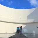 카페 900 | 포항 신상 대형카페 아우로라 데이트감성 900석 후기