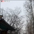 장안삼계탕 이미지