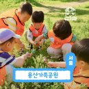 체험아이