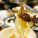 나노갈매기 이미지