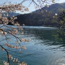 도평리도토리네 이미지