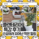21 | [유유기지 동구청년21]플랜테리어 특강 후기 – 손끝에서 피어난 작은 힐링