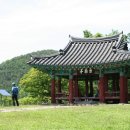 화순 부춘정 Daum카페