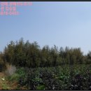 광암보건진료소 이미지