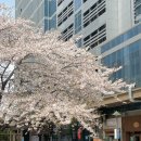 CU 선유도역점 이미지