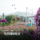 임실 치즈테마파크 장미 전라도 축제 임실치즈마을 드라이브 코스