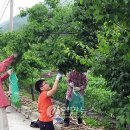 학현리 마을회관 이미지