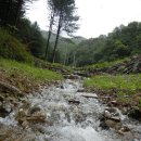 삼정농원 이미지