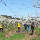 인주면사무소 이미지