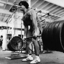 리즈핏 피트니스 이미지