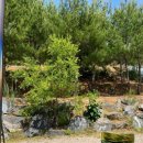 소풍캠핑장 이미지